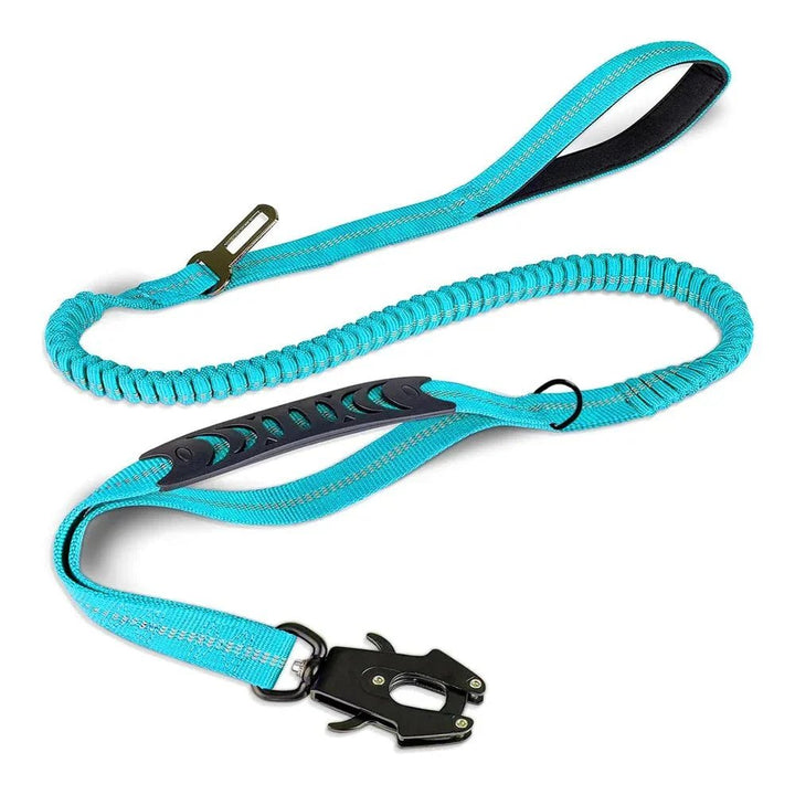 TactiPaw Reflective Bungee Dog Leash - Pawtique