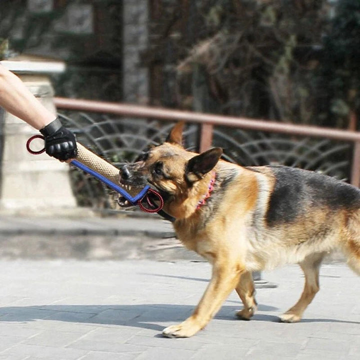 Training Dogs Chew Sticks To Pick Up - Pawtique