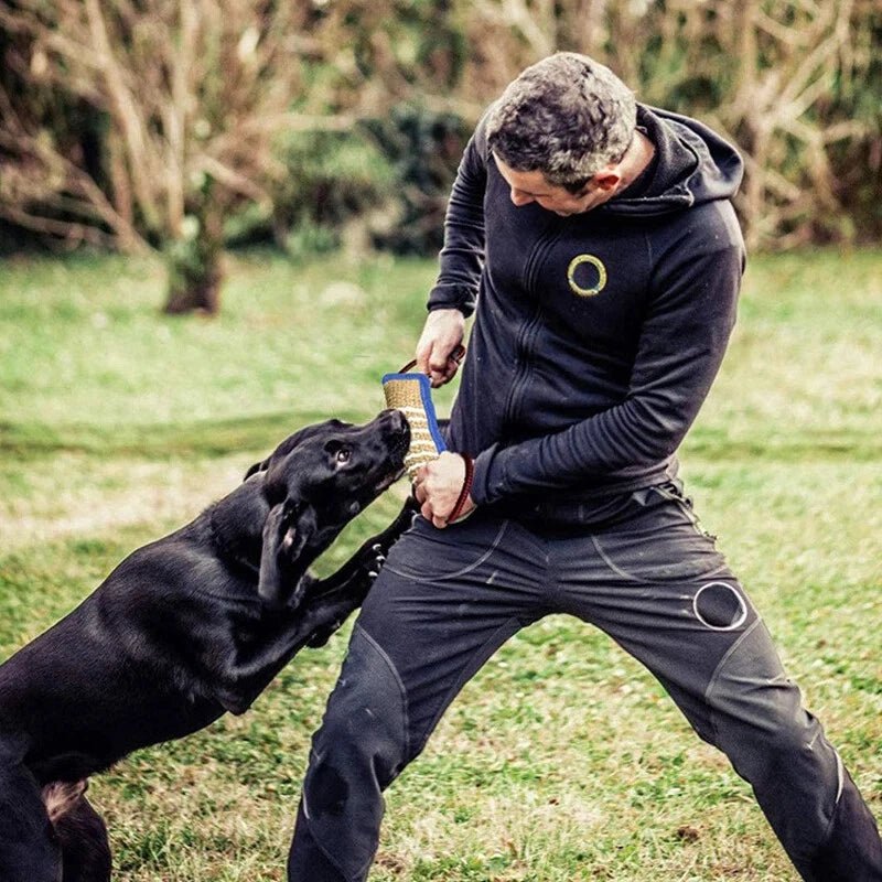 Training Dogs Chew Sticks To Pick Up - Pawtique