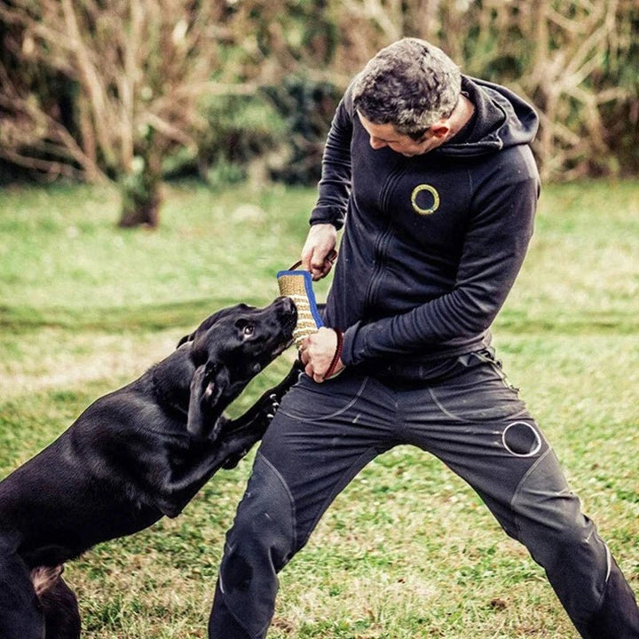 Training Dogs Chew Sticks To Pick Up - Pawtique