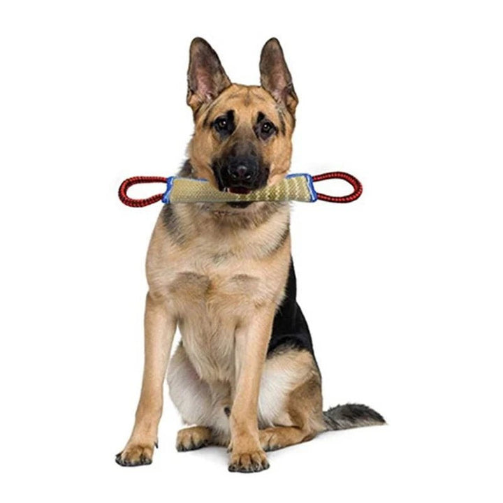 Training Dogs Chew Sticks To Pick Up - Pawtique