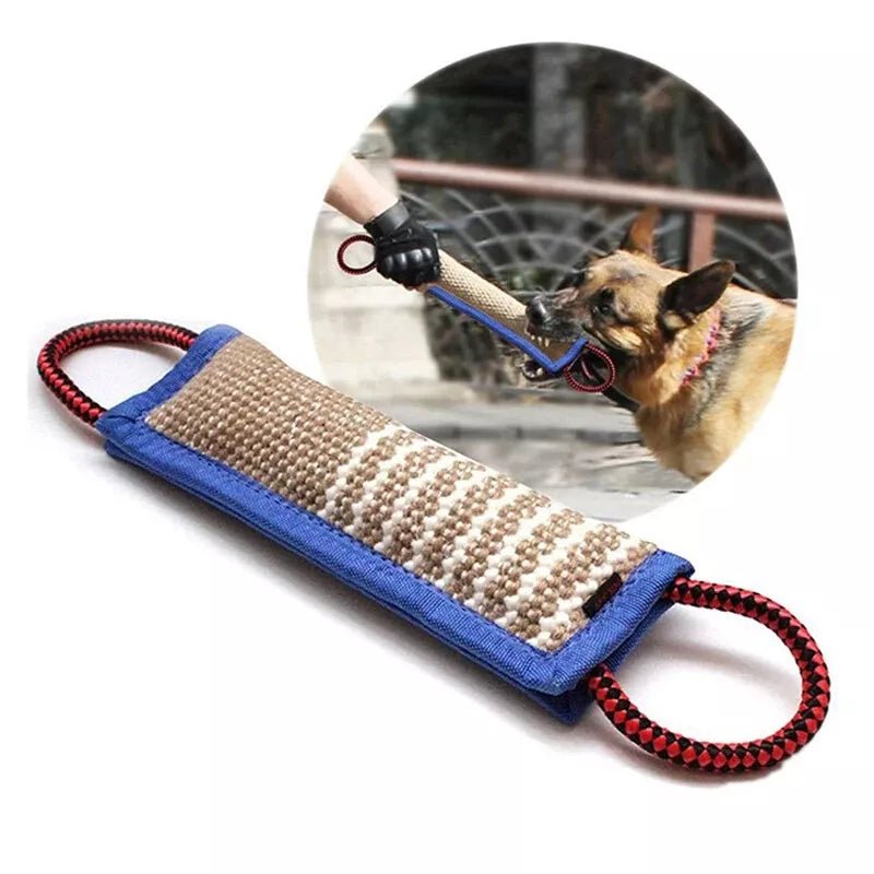 Training Dogs Chew Sticks To Pick Up - Pawtique
