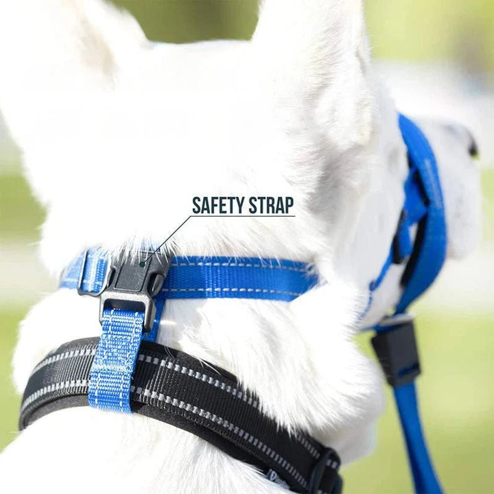 Training Muzzle - Halti Style - Pawtique