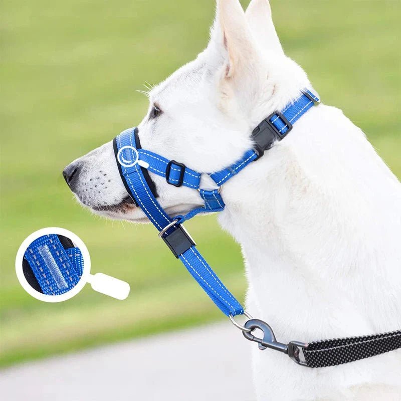 Training Muzzle - Halti Style - Pawtique