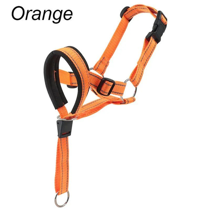 Training Muzzle - Halti Style - Pawtique