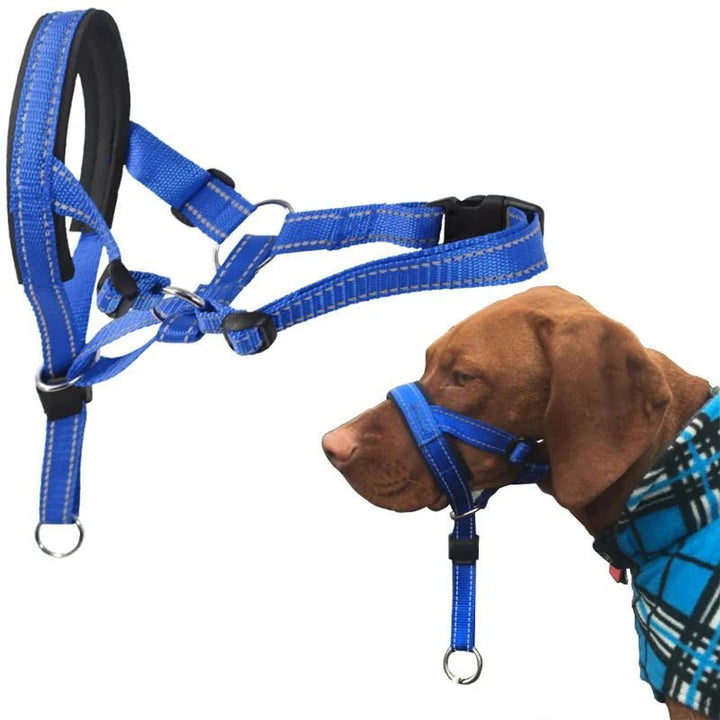 Training Muzzle - Halti Style - Pawtique