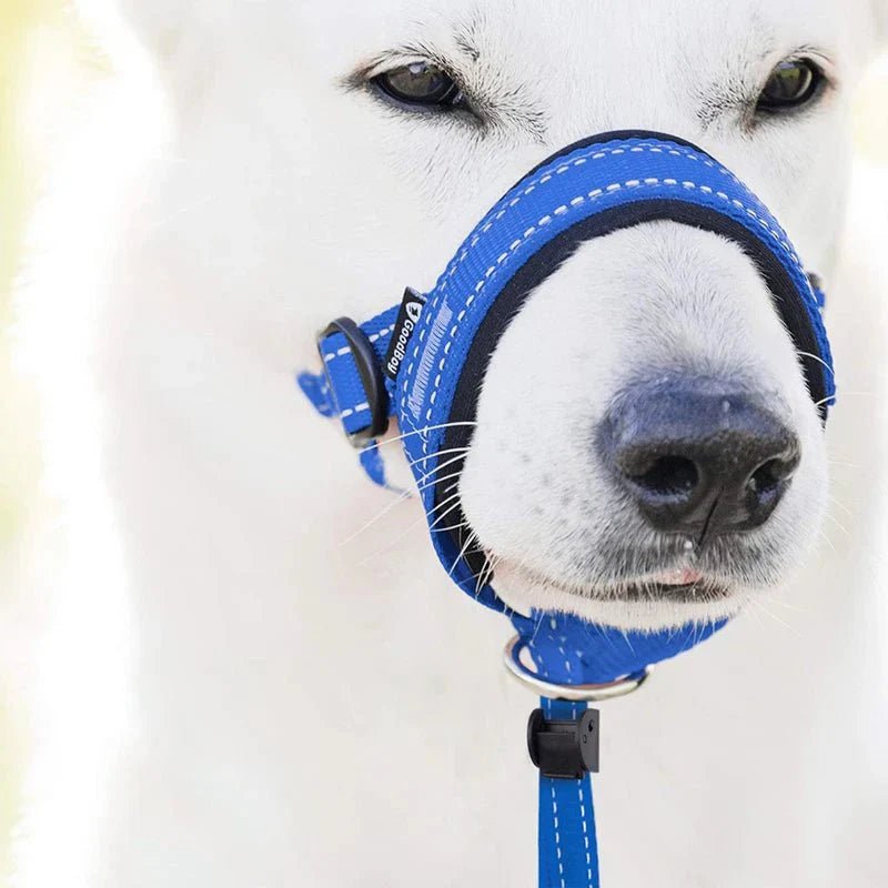 Training Muzzle - Halti Style - Pawtique