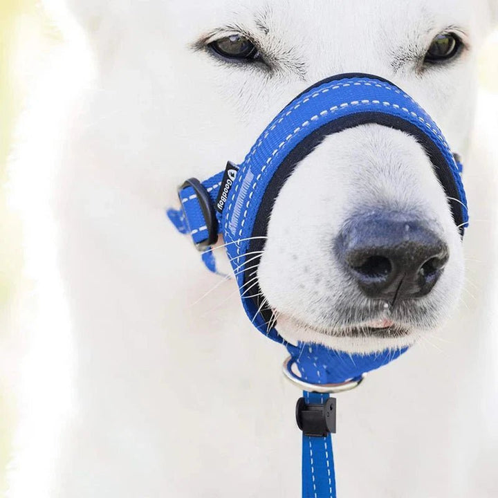 Training Muzzle - Halti Style - Pawtique