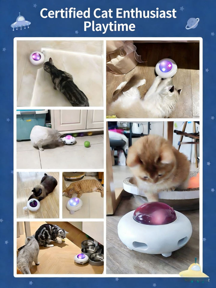 UFO Smart Cat Toy - Pawtique