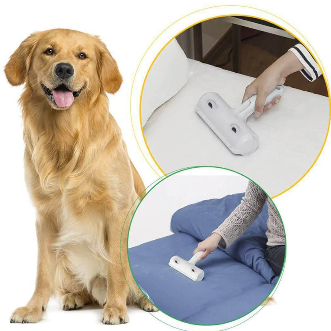 Ultimate Pet Hair Remover Roller 🌀 - Pawtique