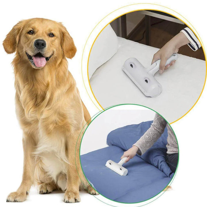Ultimate Pet Hair Remover Roller 🌀 - Pawtique