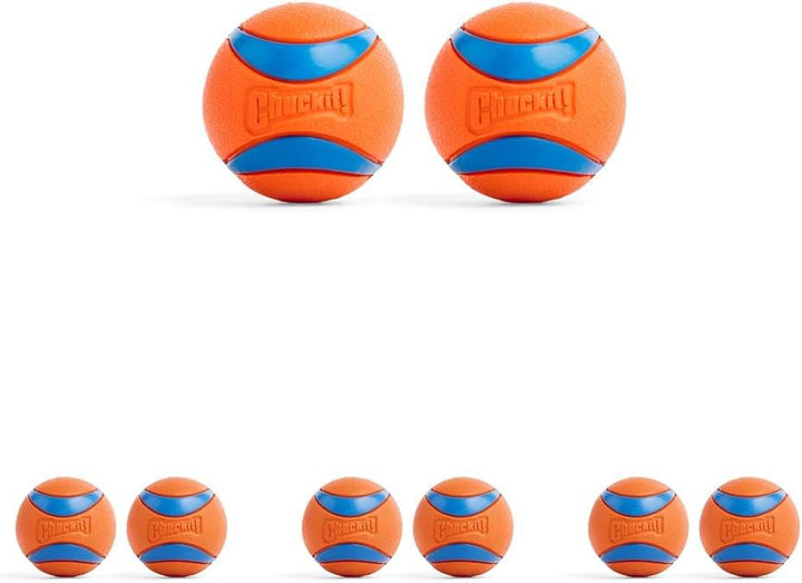 Ultra Bouncy Fetch Balls - Pawtique