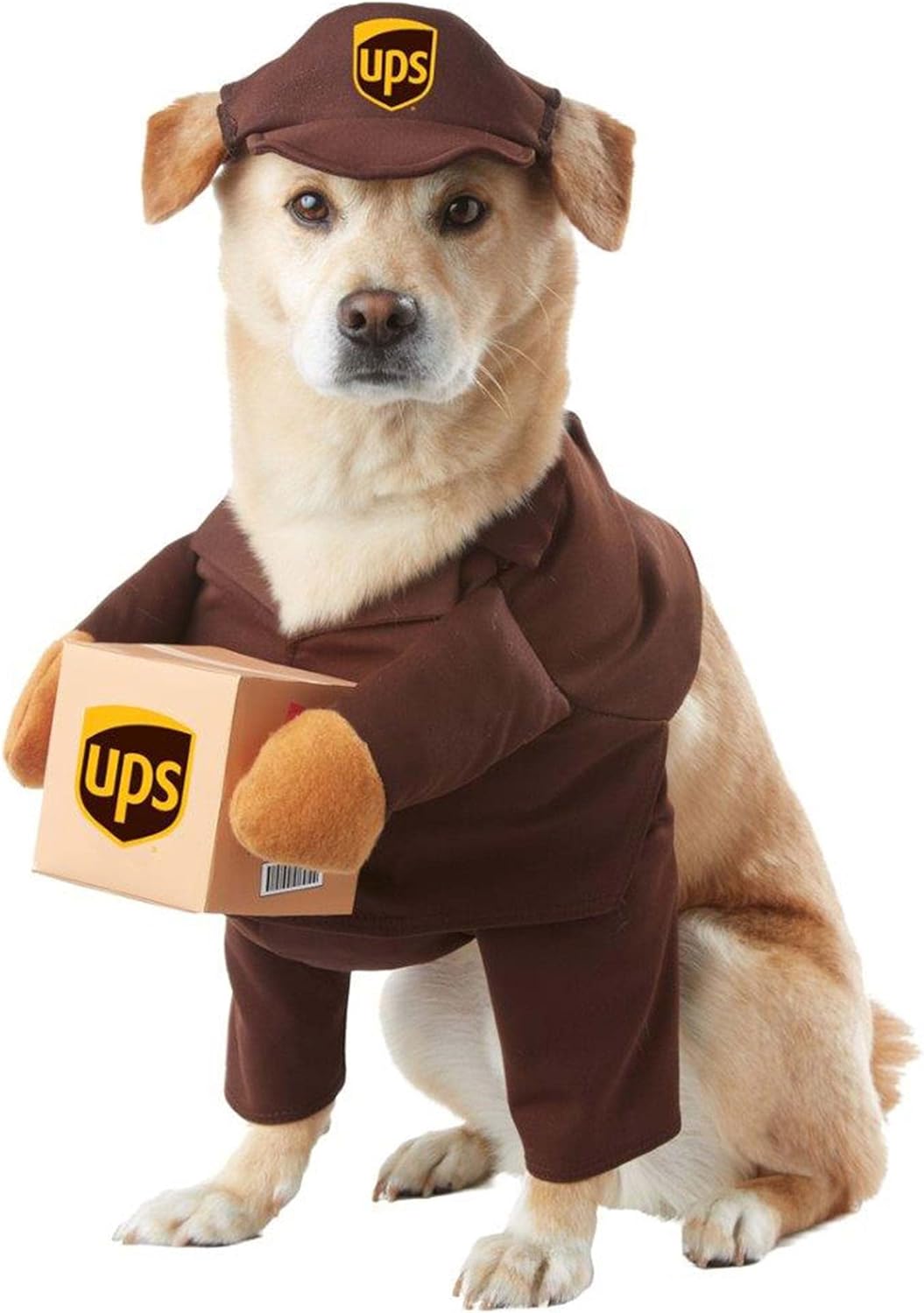 UPS costume - Pawtique