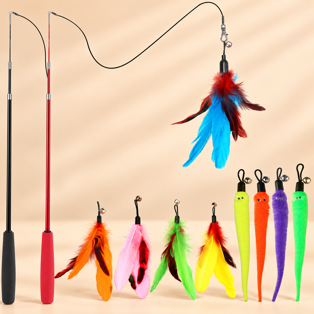Pawtique feather wand cat toy set hero