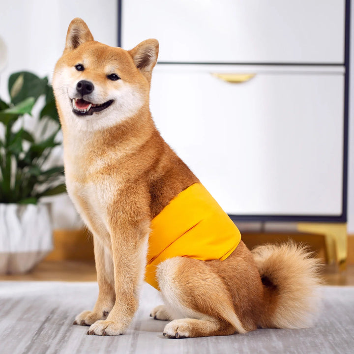Washable Diapers Males Absorbent Adjustable Reusable - Pawtique