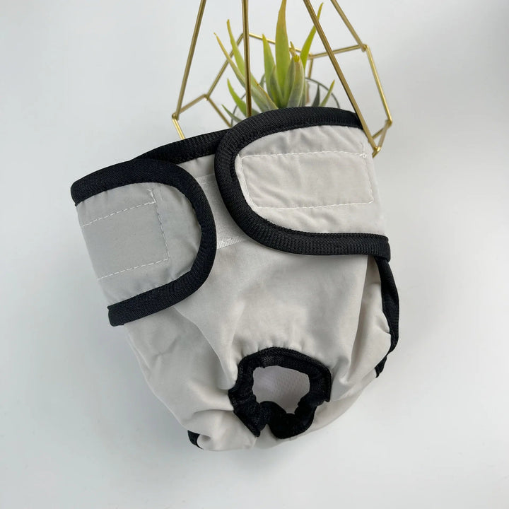Washable Diapers Males Absorbent Adjustable Reusable - Pawtique
